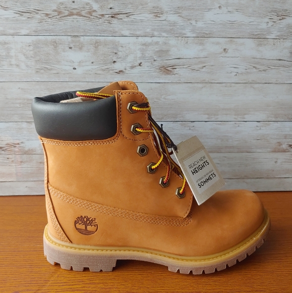TIMBERLAND EARTHKEEPERS 6-INCH PREMIUM INTERNAL - Picture 1 of 6